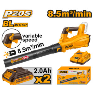 Cordless blower