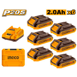 P20S Lithium-Ion battery and charger kit