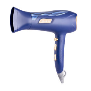 Hair dryer
